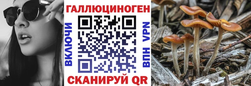 Псилоцибиновые грибы прущие грибы  наркотики  Гаврилов Посад 